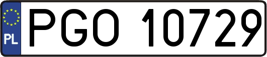 PGO10729
