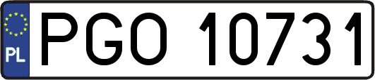 PGO10731