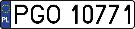 PGO10771
