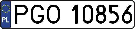PGO10856