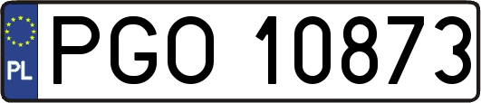 PGO10873