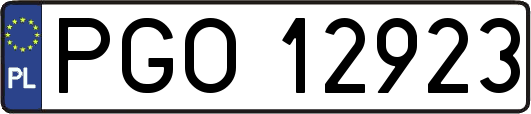 PGO12923