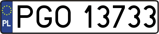 PGO13733