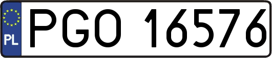 PGO16576
