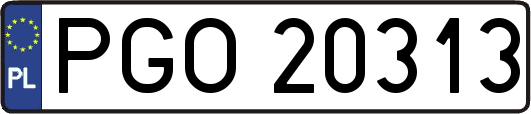 PGO20313