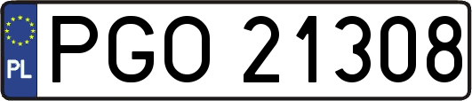 PGO21308