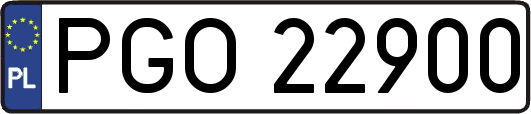 PGO22900
