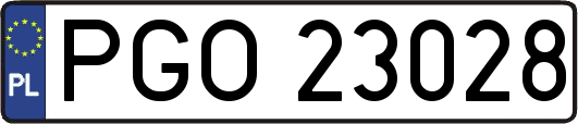 PGO23028