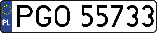 PGO55733