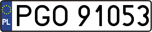 PGO91053