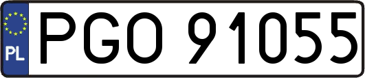 PGO91055
