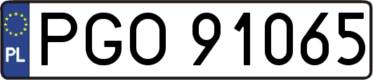 PGO91065
