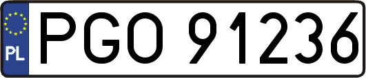 PGO91236