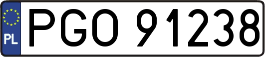 PGO91238
