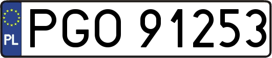 PGO91253