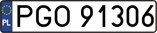 PGO91306