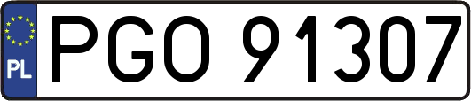 PGO91307