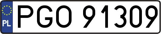 PGO91309