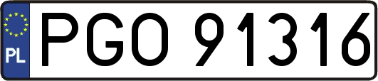 PGO91316