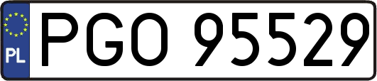PGO95529