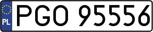 PGO95556