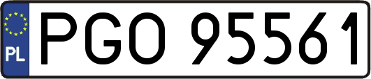 PGO95561