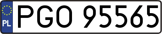 PGO95565