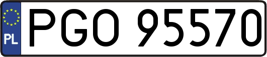PGO95570