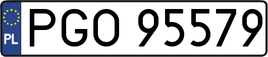 PGO95579