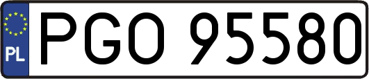 PGO95580