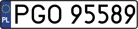 PGO95589