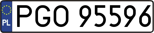 PGO95596