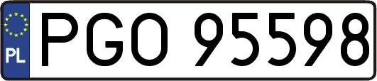 PGO95598