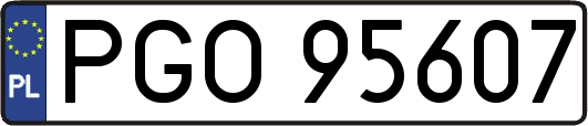 PGO95607