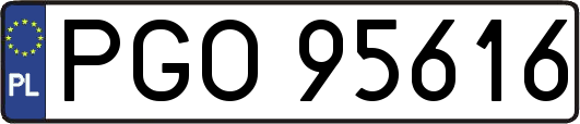 PGO95616