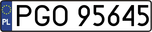 PGO95645
