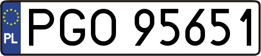 PGO95651