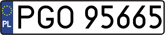 PGO95665