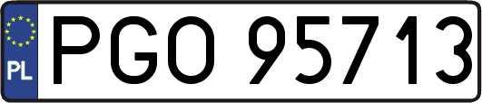 PGO95713