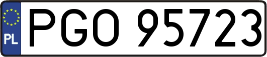 PGO95723