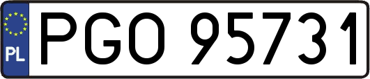 PGO95731