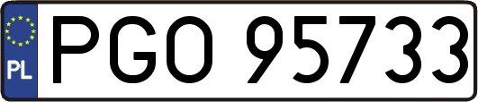 PGO95733