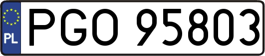 PGO95803