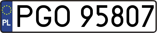 PGO95807