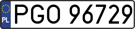 PGO96729