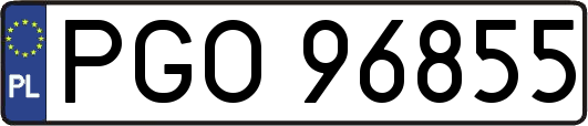 PGO96855