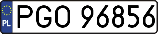 PGO96856