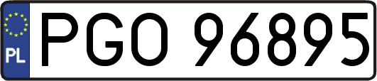 PGO96895