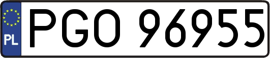 PGO96955