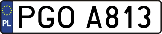 PGOA813